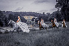 On Horseback